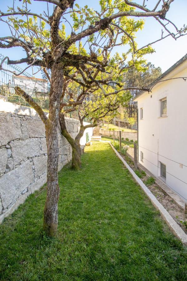 Casa Da Ponte Velha Lägenhet Termas de Sao Pedro do Sul Exteriör bild