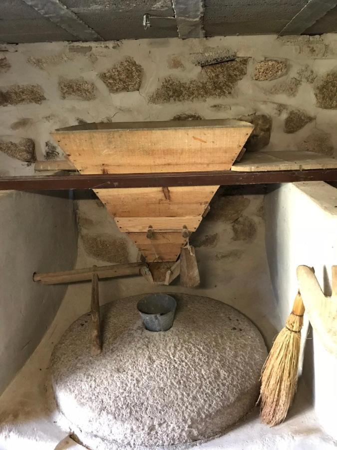Casa Da Ponte Velha Lägenhet Termas de Sao Pedro do Sul Exteriör bild