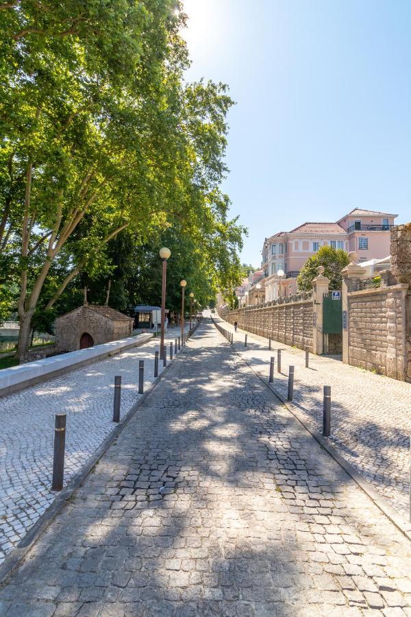 Casa Da Ponte Velha Lägenhet Termas de Sao Pedro do Sul Exteriör bild